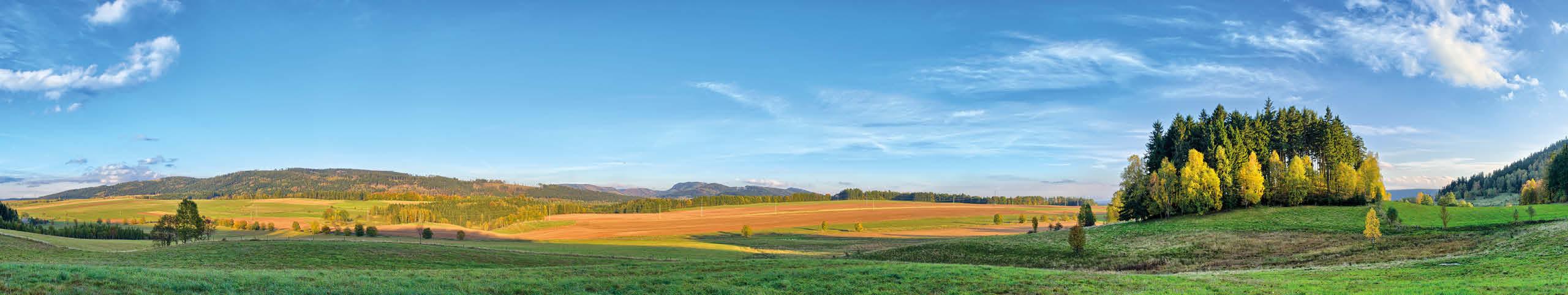Banner Pommeren - Polen